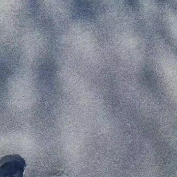 Chilling in the snow