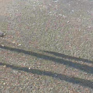 March 1, 2023 after two months of living in the moldy Vance 16 years old