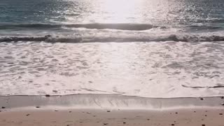 Shine Wave