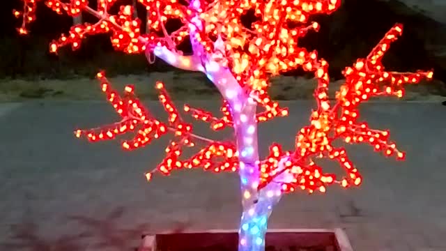 tree in red lights