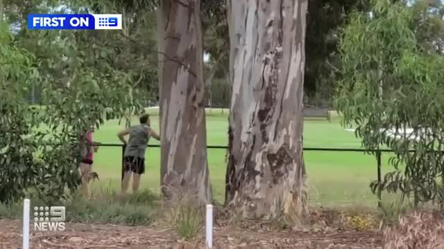 Melbourne Australia - Man attacked by a covid fearer who assaulted him in the Parkville Park