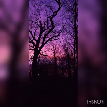 Winter Morning Sunrise