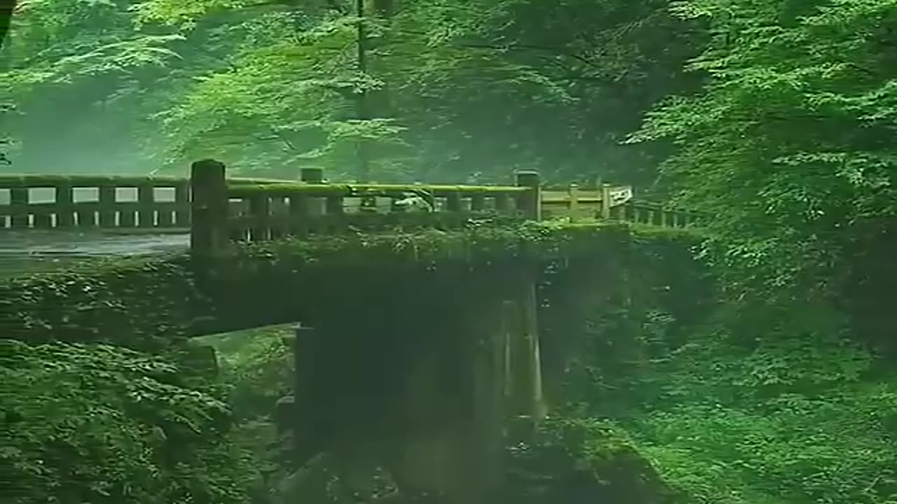 Beautiful Nature