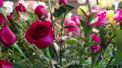 Beautiful Flowers