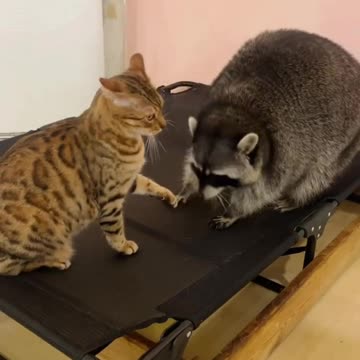 Leave me alone I have no interest 😂