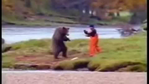 wild bear getting kicked in the nuts