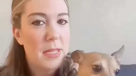 Animal lover