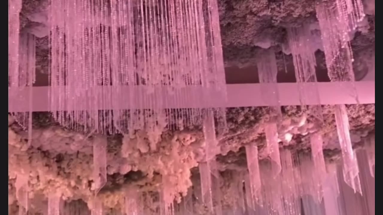 1 Million Dollars Wedding Decoration