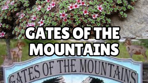 Tourist Spots in Helena Part 2!