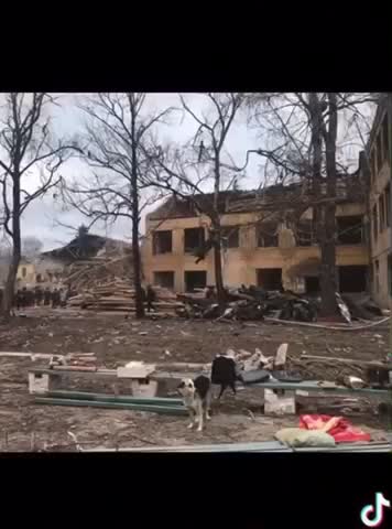 Where’s your mind ?! 2/03/2022