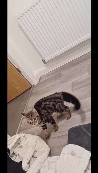 Not Easy Being Wheezy 🤣Think I Found This To Funny 😀