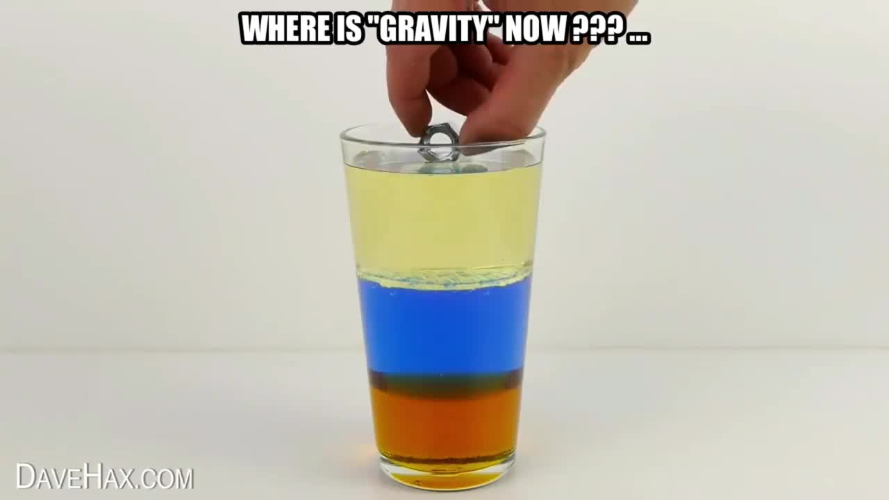 GRAVITY is a LIE