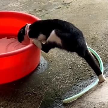 Special position🤣