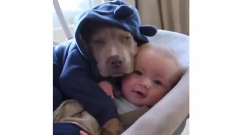 Dog and cute Baby 😍🍼