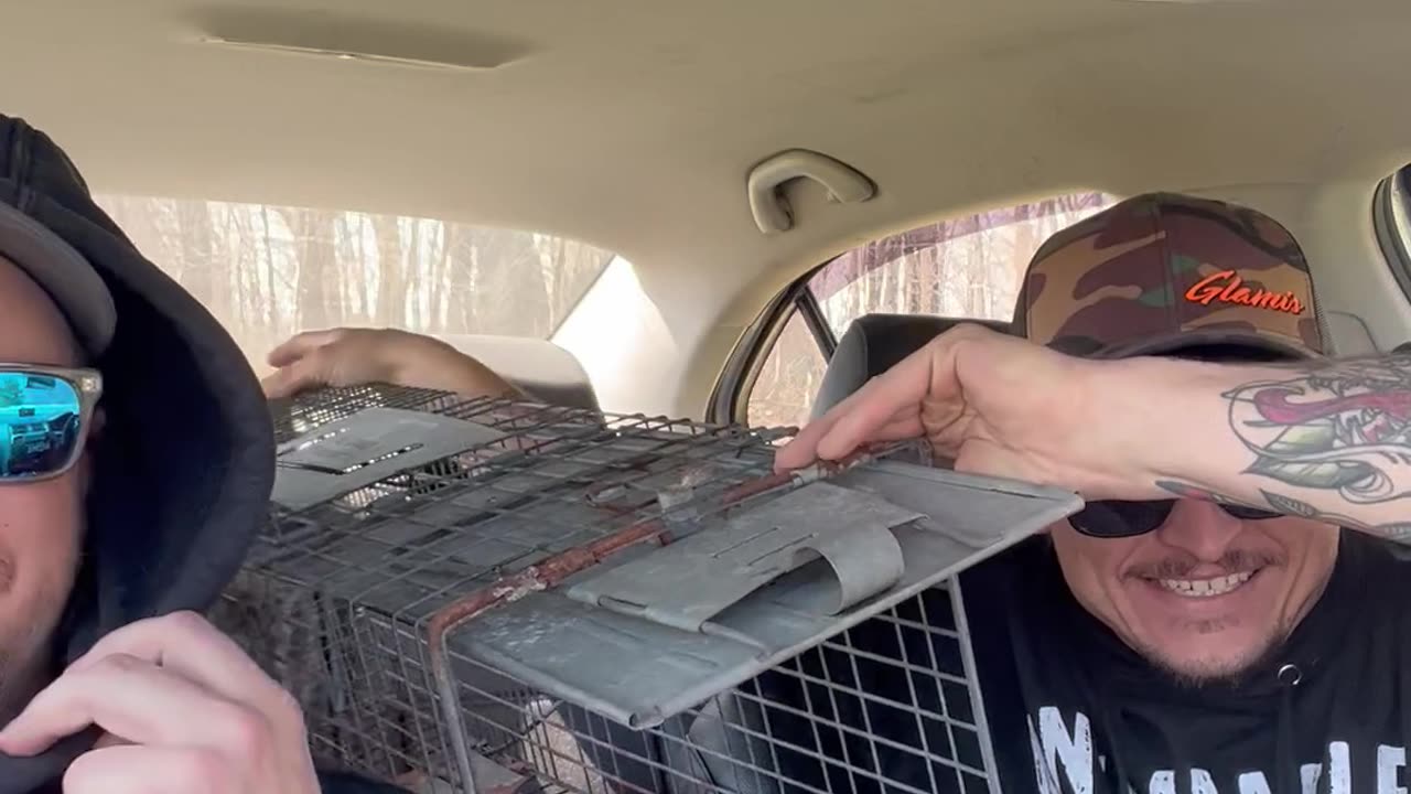 Releasing Squirrels Into The Car