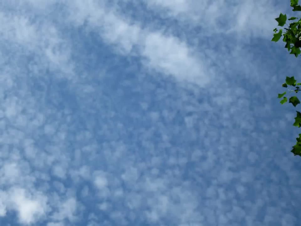 Chemical Sky Chemtrail Aerosol June 25 2009 - Frequency Fence