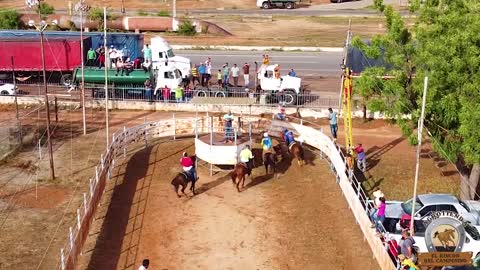 toros coleados en venezuela...good....