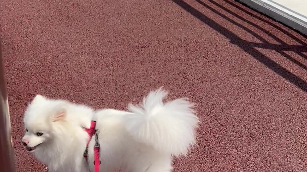 The bridge is well built^^