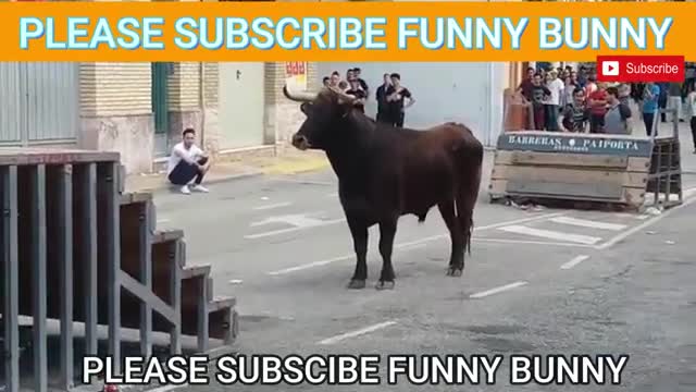 Dangerous Bull Fight Accidents Compilation by Funny Bunny