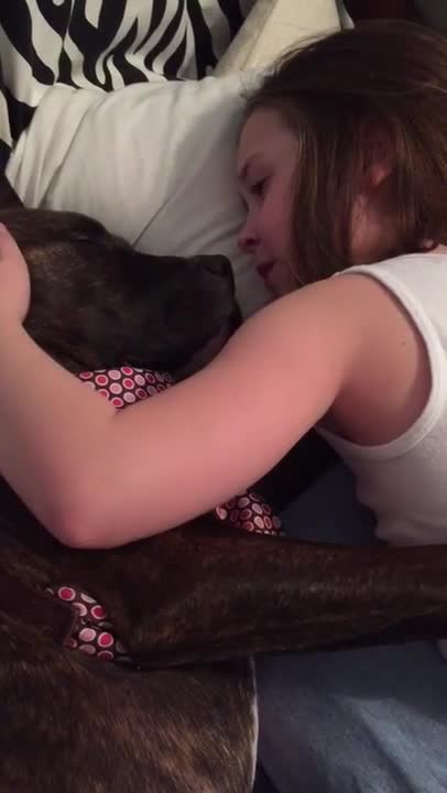 Pequeña niña canta serenata a un perro de acogida