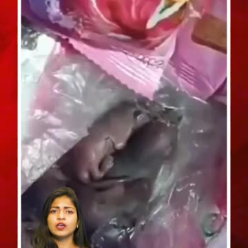 లడ్డూ ప్రసాదంలో ఎలుకలు అంటూ ప్రచారం.. ఖండించిన ట్రస్ట్ #short #ratsinladdu #siddivinayakatemple