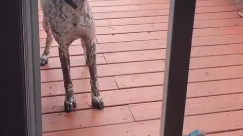 I'll figure it out. Give me a minute