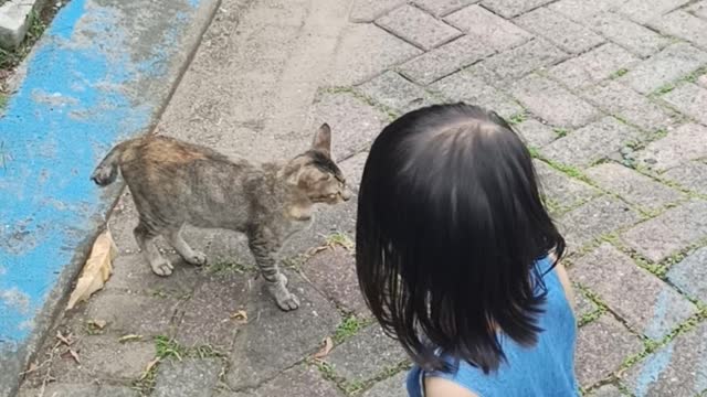 Sophie And The Cat Part One