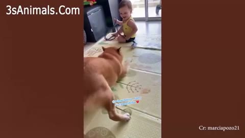 ADORABLE PUPPIES LOVE BABIES COMPILATION 😍 A CUTE PUPPY 🐶AND BABY👶 VIDEOS 2022