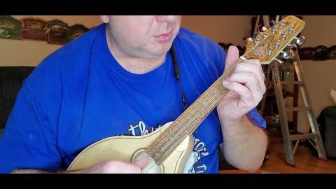 Messing Around with a Morris Mandolin