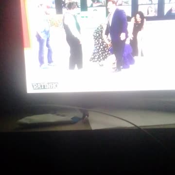 programa do ratinho pt5 circo ao vivo