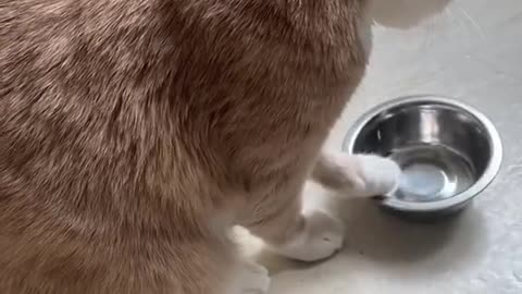 Кушать