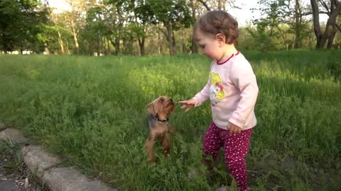 Little child plays with Dog in Summer green Park