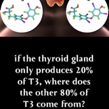 what essential nutrients empower peak thyroid performance?