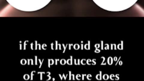 what essential nutrients empower peak thyroid performance?