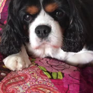 Marty loves her lullabies