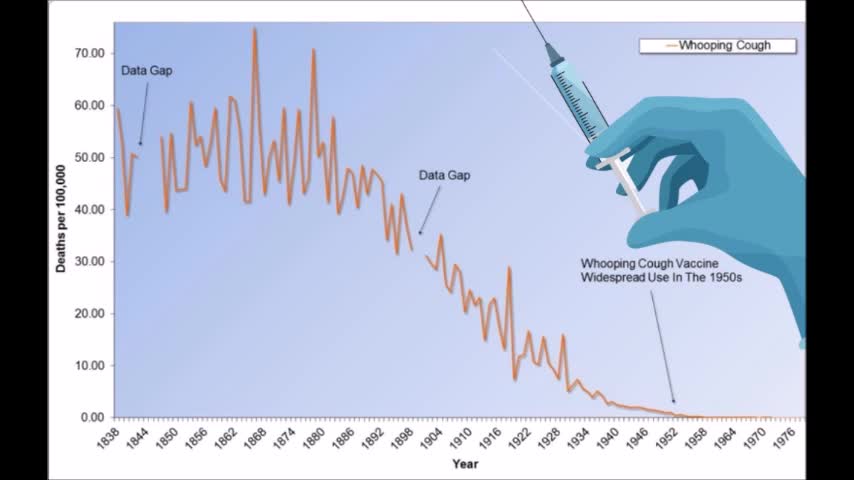 Dissolving Vaccine Illusions, The Work of Dr. Suzanne Humphries