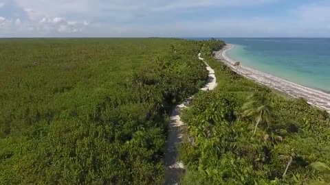 Sea waves & beach drone video | Free HD Video