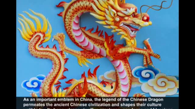 The Year of the Dragon Chinese