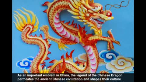 The Year of the Dragon Chinese