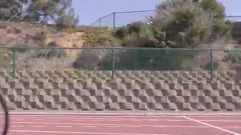 Fastest Runner