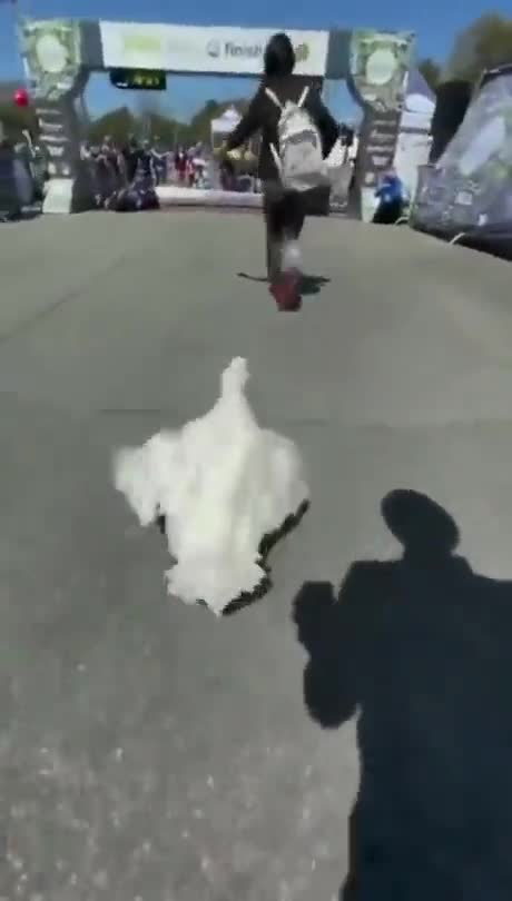 A duck running a marathon