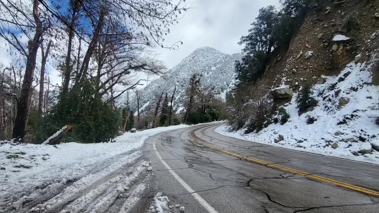 Landlord's Secrets 🤫