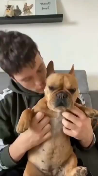 Adorable Puppies Love Babies Compilation 😍 A Cute Puppy 🐶and Baby👶 Videos 2021