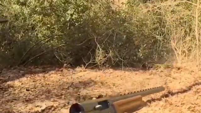Shotgun butt hits hat guy in face