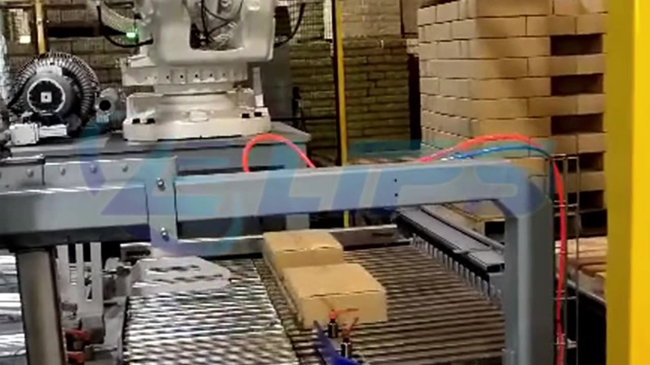 automatic robot palletizer for cartons with gripper #fyp#palletizer#industrial#robot#machine