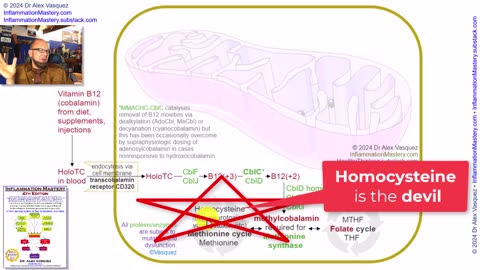 Vitamin B12 (cobalamin) Pharmacology, part5: Evolution, Summary, Conclusions