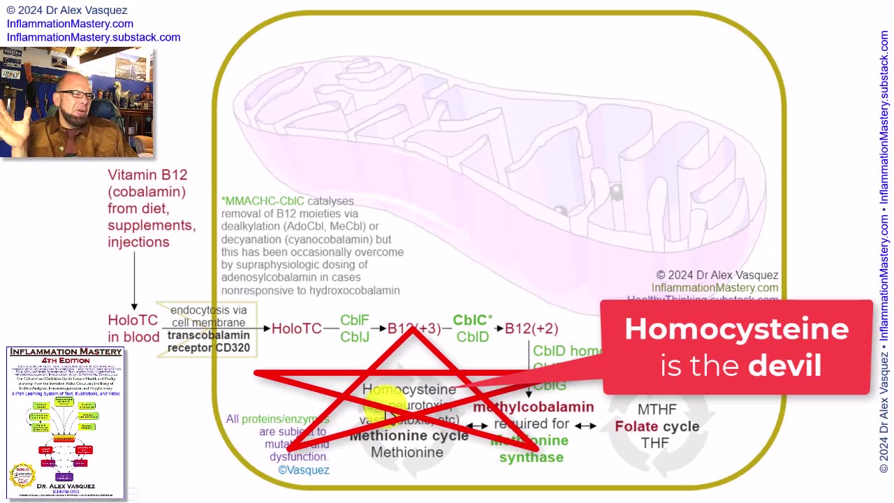 Vitamin B12 (cobalamin) Pharmacology, part5: Evolution, Summary, Conclusions