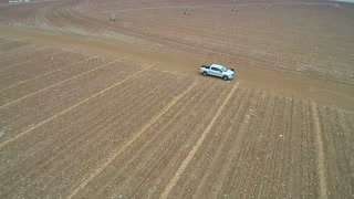 Winter cotton field 8