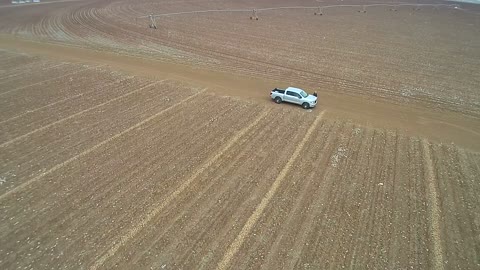 Winter cotton field 8