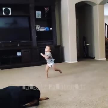 People: when he's a dad he'll mature! Me as a father : There will be no mercy 😂😂